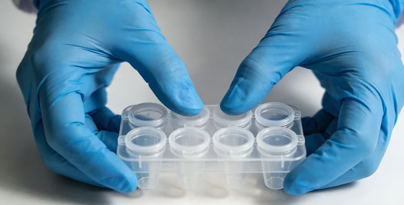 实验人员在生物安全柜内进行精密