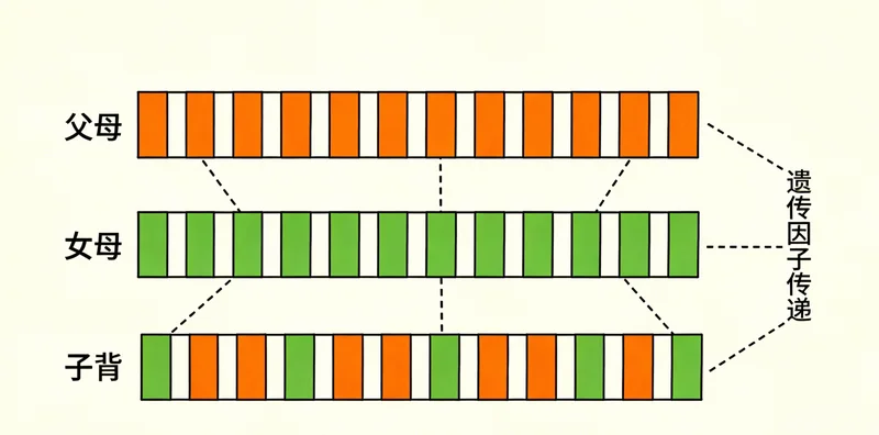 邢台一个幸福家庭与健康宝宝互动
