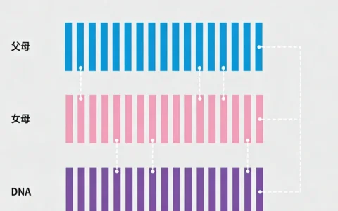 肇庆宫颈癌基因检测可靠的机构地址