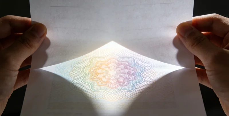 一个展示基因表达或病原体载量随