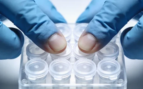 亳州淋巴瘤基因检测攻略2家合法机构与2026年信息归纳