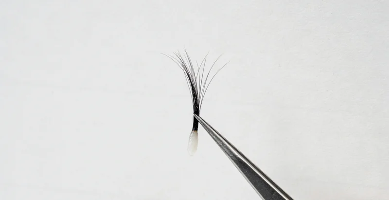 HPV高危型与低危型病毒模型对