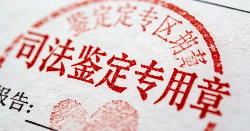 益阳城市景观与市民健康生活示意