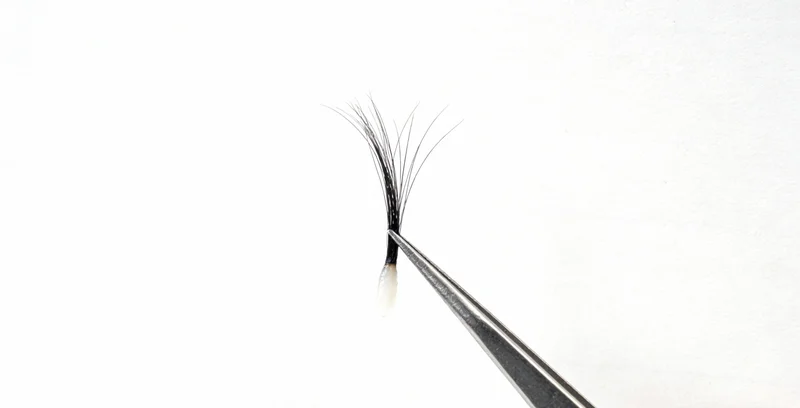 健康顾问正在为客户详细解读细菌