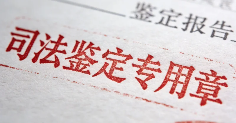 专业人士正在结合本地饮食为咨询