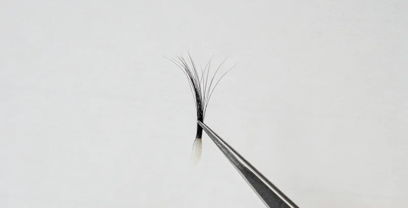 肠癌预防健康生活方式示意图