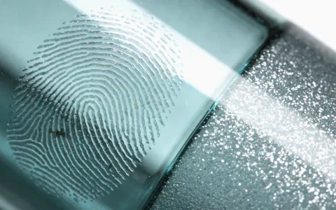 芜湖脑胶质瘤基因检测的公司有哪些