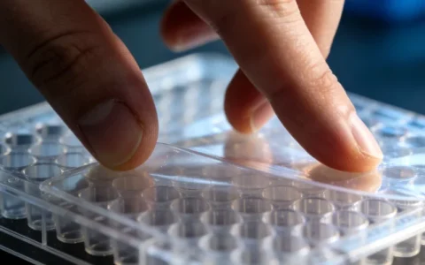 牡丹江乳腺癌基因检测攻略5家专业机构与2026年信息归纳