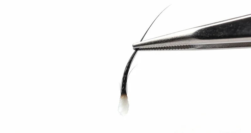 在温馨专业的本地服务中心,工作