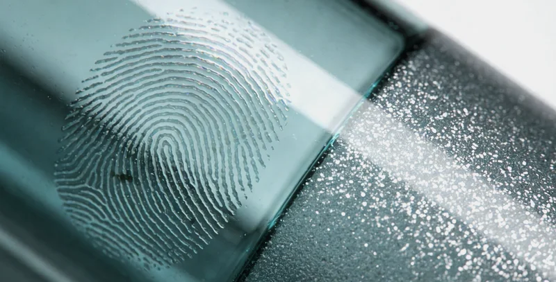 代表健康生活的各类新鲜蔬菜水果