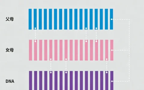 辽源曲霉菌基因检测要在哪里检测