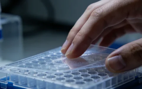 聊城脑膜瘤基因检测攻略3家合法机构与2026年信息归纳