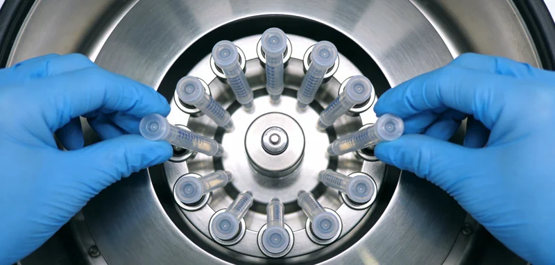 抽象化的视觉图,显示细菌形态与