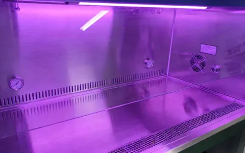 红河血液肿瘤基因检测需要到哪里办理