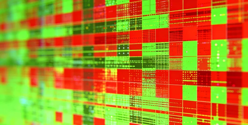 康复后的人在户外轻松呼吸、运动