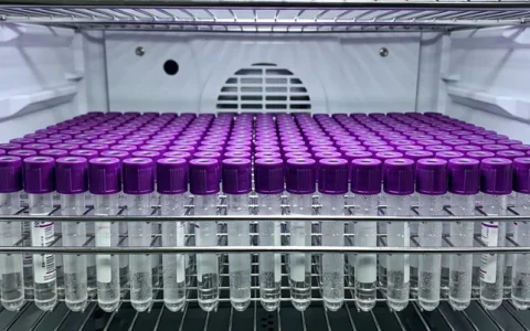 六安甲状腺癌基因检测服务机构