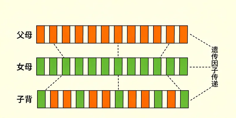 沈阳特色烧烤与美食场景，暗示饮