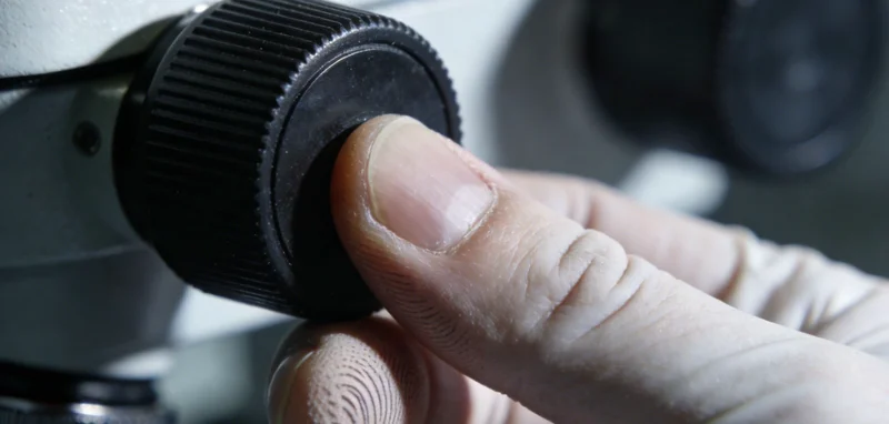 电脑屏幕上显示复杂的生物信息分