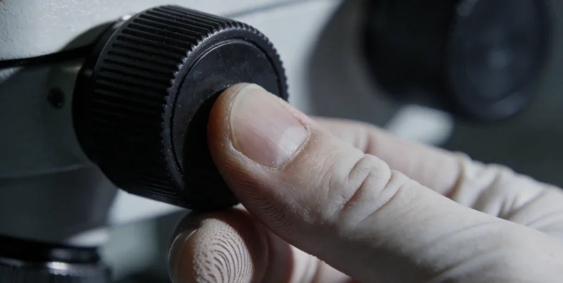 电脑屏幕上显示着复杂的基因序列