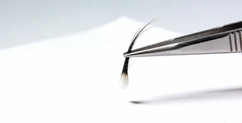 医生在办公室与咨询者讨论病情和