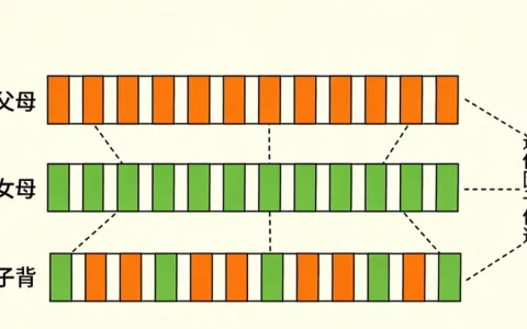 甘南脑胶质瘤基因检测什么地方做2026年2家可靠机构与地址