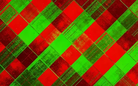 山南前列腺癌基因检测公司