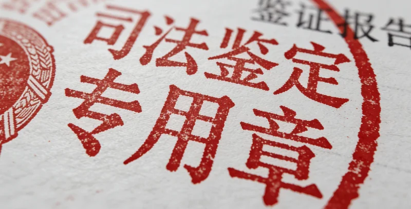 一份正式的亲子鉴定报告特写,旁