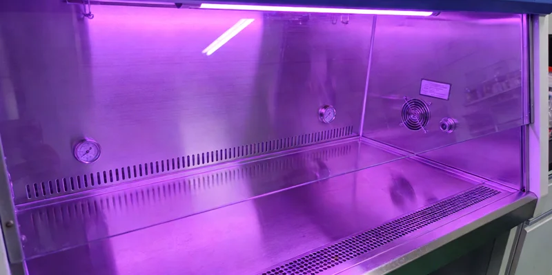 和田中年男性正在向医疗专业人士咨询健康问题