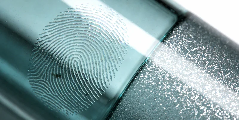 湛江城市风光与市民日常生活场景，突出地域特色与健康主题