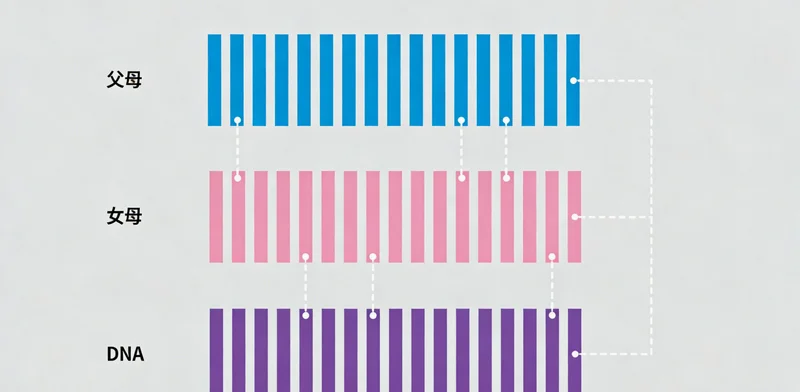 阿坝州自然风光下，一位面带微笑的藏族女性