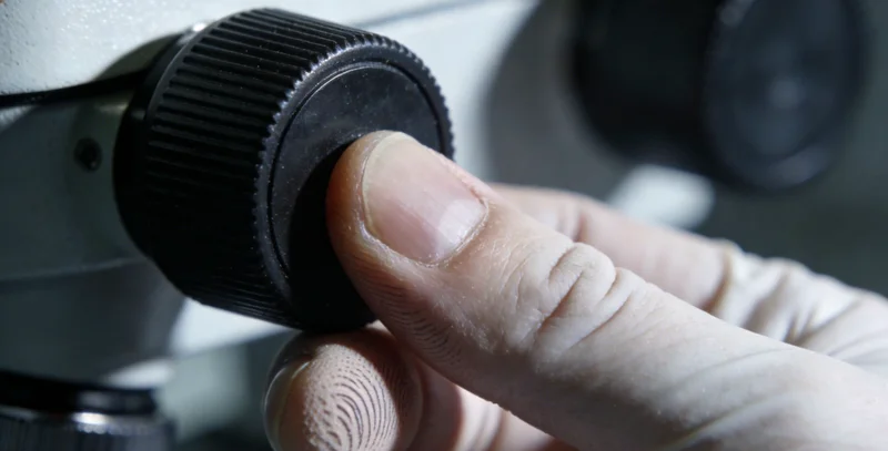 基因测序数据分析过程展示