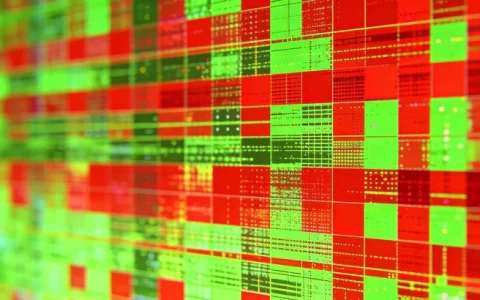 毕节mNGS送检要求基因检测十大公司