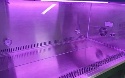 内江细菌基因检测哪家公司最好