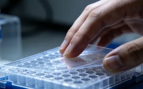 揭阳寄生虫基因检测机构怎么选？一文说清正规机构与避坑要点