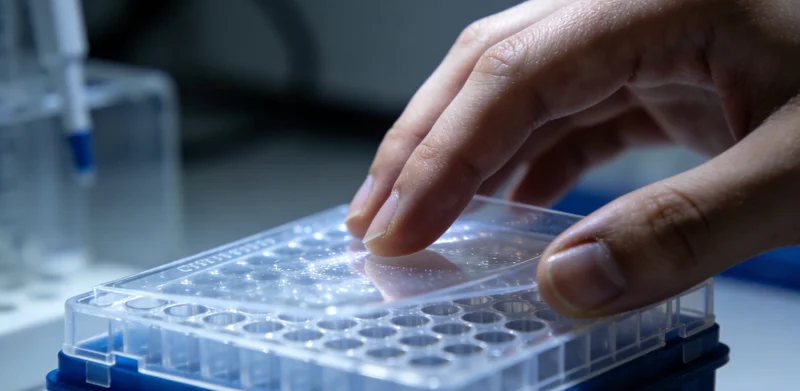 一盘精致的揭阳风味鱼生或生腌海