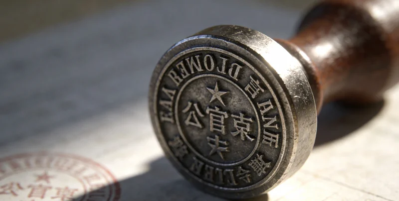 医生正在为患者进行鼻内镜检查,