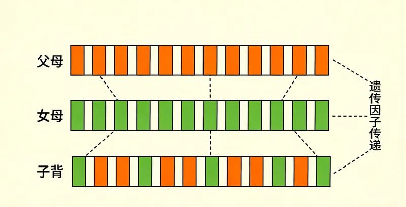 合肥某医院标识与现代化体检中心
