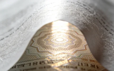 秦皇岛混合感染基因检测怎么做？本地公司服务全流程科普