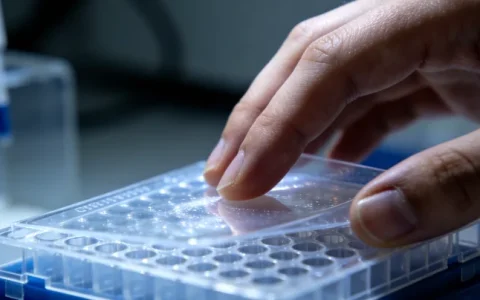 2026年乌兰察布卵巢癌基因检测机构名单精选4家