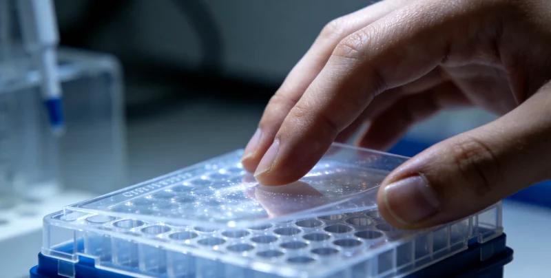 几位乌兰察布女性在社区内亲切交谈，背景为本地建筑