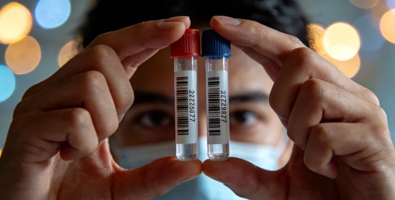 医生在办公室内讨论胸部CT影像