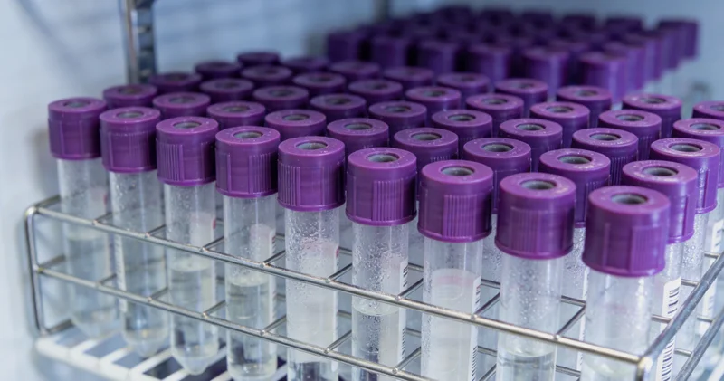 枣庄家庭就儿童健康问题咨询专业