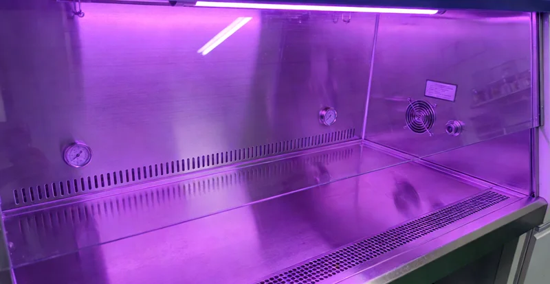 泉州城市风貌与市民健康生活场景