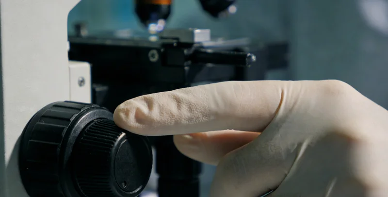 电脑屏幕上显示复杂的生物信息学