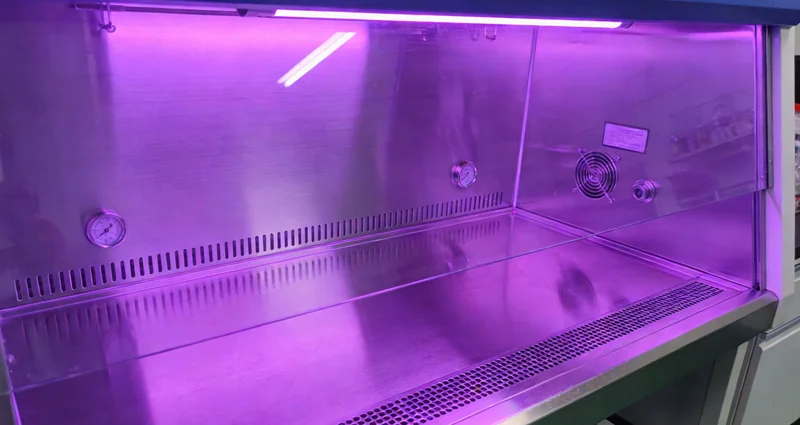 象征精准医疗的光芒照亮人体膝关