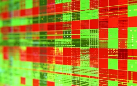 威海胃癌基因检测去哪里检测