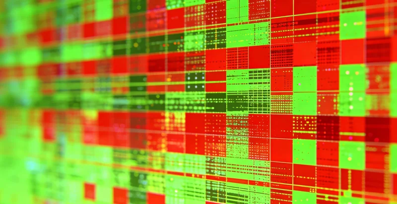 威海海鲜市场实拍,提醒高盐饮食的胃癌风险