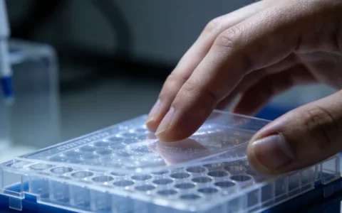 汉中肺癌基因检测服务机构