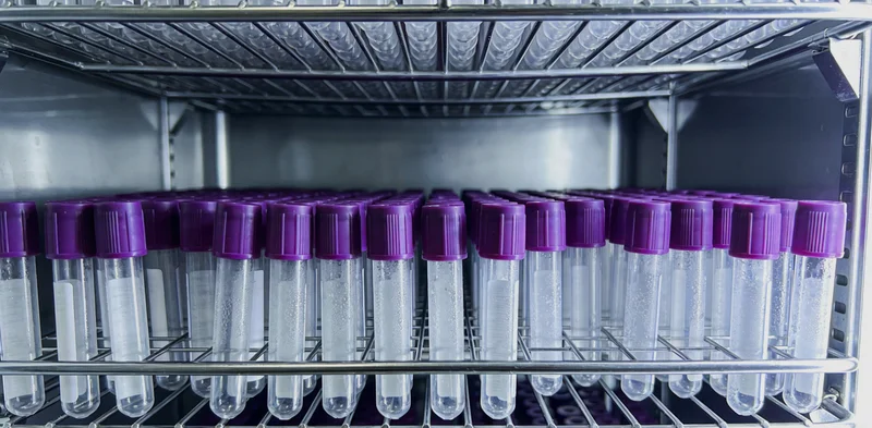 象征健康生活方式的图片，如新鲜