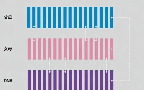 运城鼻咽癌基因检测去哪做2026年2家合法机构与地址